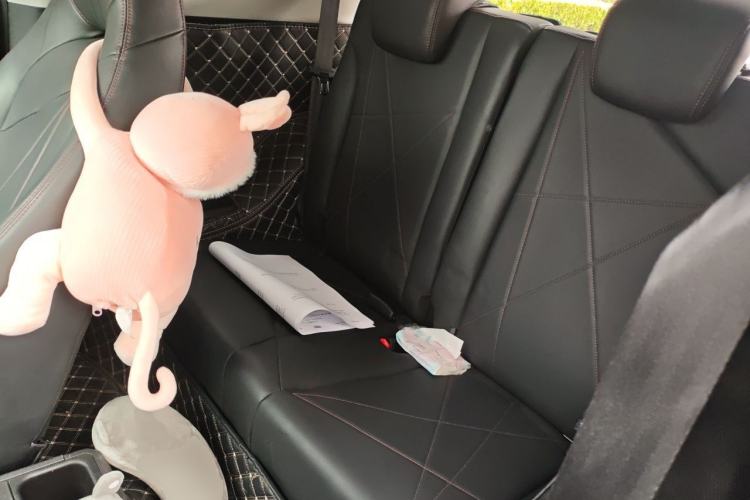 Used Chery QQ Little Ant 2022 Sweet Pink Edition Half-Sugar Version Lithium Iron Phosphate 30 kW 301 km Left Rear Seat