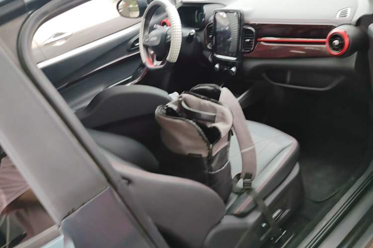 Used Chery QQ Little Ant 2022 Sweet Pink Edition Half-Sugar Version 3-Cell Lithium 30kW 301km Right Front Seat