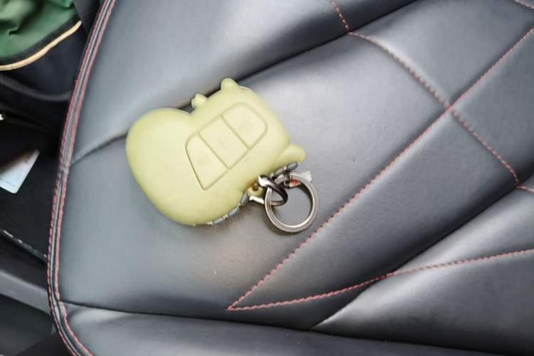 Used Chery QQ Little Ant 2022 Updated Version Sweet Pink Edition Full-Sugar Version 30.6 kWh 30 kW 301 km Vehicle Key