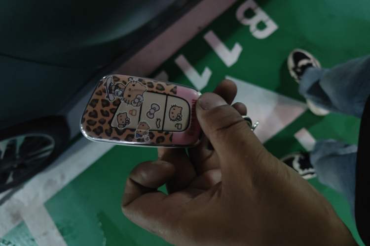 Used Chery QQ Little Ant 2022 Sweet Pink Edition Half-Sugar Version Lithium Iron Phosphate 30 kW 301 km Vehicle Key