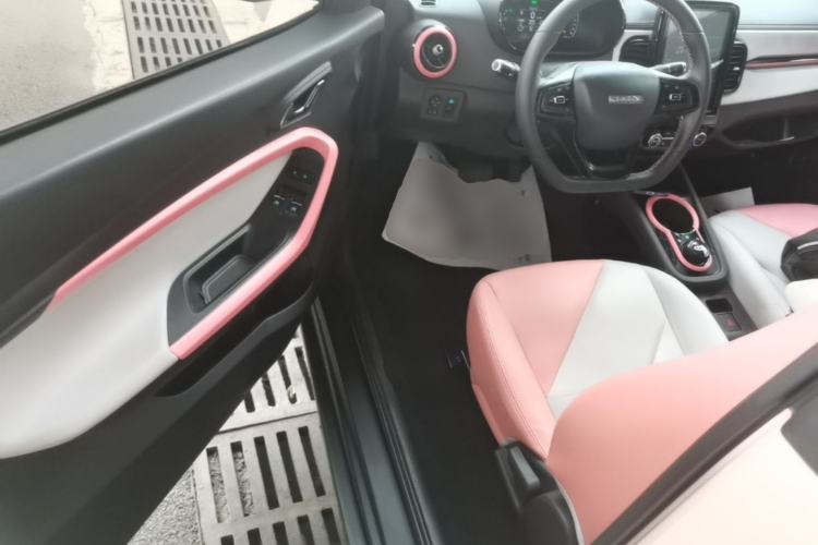 Used Chery QQ Little Ant 2022 Restyled Version Sweet Pink Edition Half-Sugar Version 30.6 kWh 30 kW 301 km Driver Seat