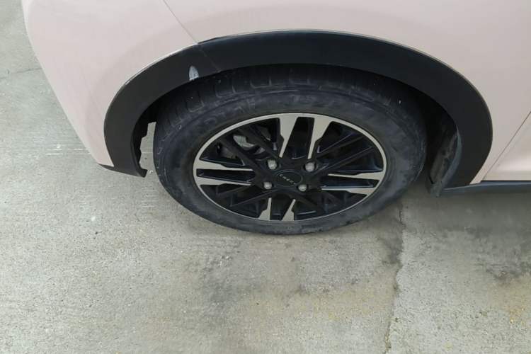 Used Chery QQ Little Ant 2022 Revised Version Sweet Pink Edition Half-Sugar Version Lithium Iron Phosphate 30.7 kWh 30 kW 301 km Exterior 4