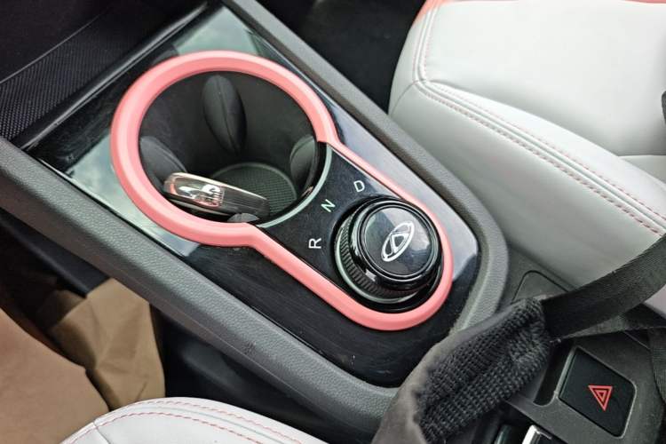 Used Chery QQ Little Ant 2022 Revised Version Sweet Pink Edition Half-Sugar Version Lithium Iron Phosphate 30.7 kWh 30 kW 301 km Gear Lever