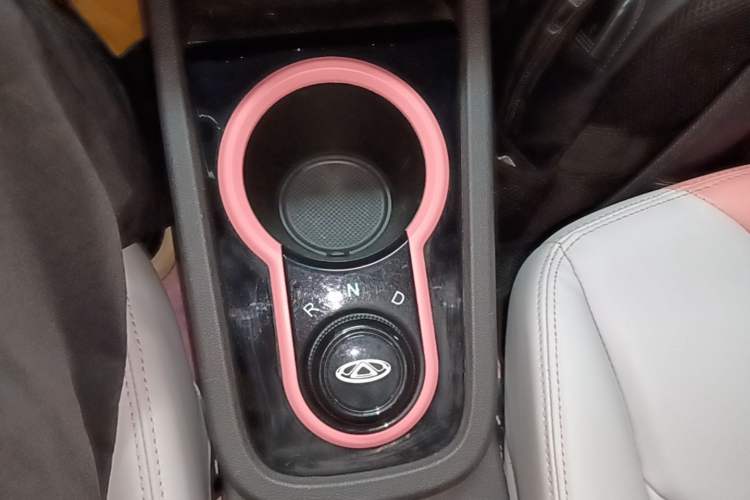 Used Chery QQ Little Ant 2022 Sweet Pink Edition Half-Sugar Version Lithium Iron Phosphate 30 kW 301 km Gear Lever