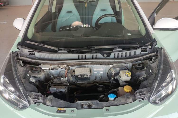 Used Chery QQ Little Ant 2022 Sweet Pink Edition Half-Sugar Version Lithium Iron Phosphate 30 kW 301 km Engine Bay