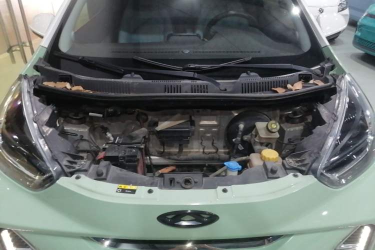 Used Chery QQ Little Ant 2022 Sweet Pink Edition Half-Sugar Version 3-Cell Lithium 30kW 301km Engine Bay