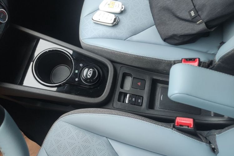 Used Chery QQ Little Ant 2022 Sweet Pink Edition Full-Sugar Version 3-Cell Lithium 30kW 301km Gear Lever