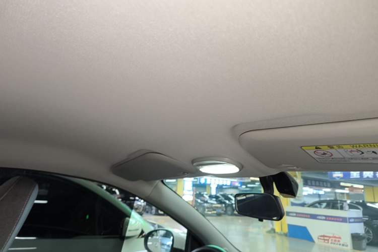 Used Chery QQ Little Ant 2022 Sweet Pink Edition Half-Sugar Version Lithium Iron Phosphate 30 kW 301 km Headliner