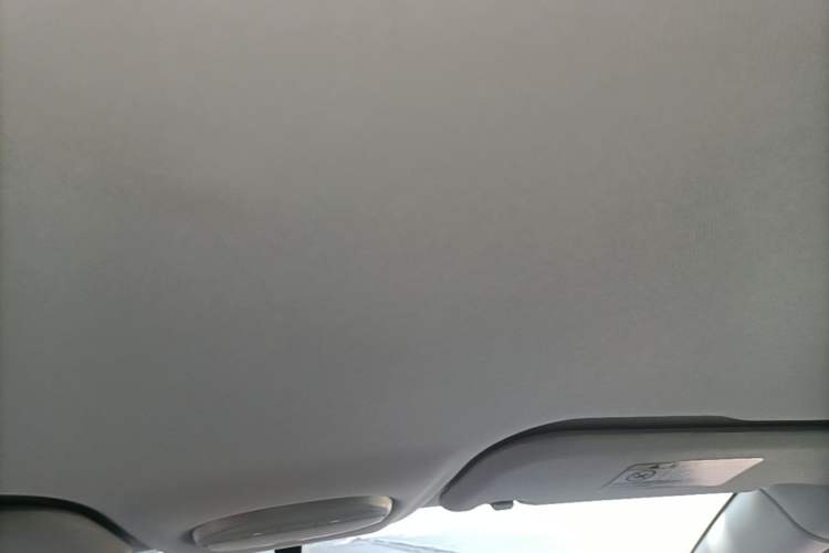 Used Chery QQ Little Ant 2022 Restyled Version Sweet Pink Edition Half-Sugar Version 30.6 kWh 30 kW 301 km Headliner