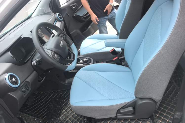 Used Chery QQ Little Ant 2022 Sweet Pink Edition Half-Sugar Version Lithium Iron Phosphate 30 kW 301 km Left Front Seat