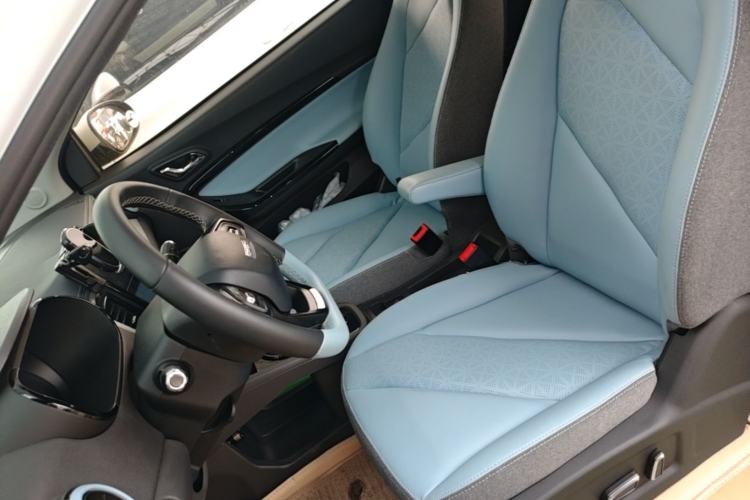 Used Chery QQ Little Ant 2022 Sweet Pink Edition Full-Sugar Version Lithium Iron Phosphate 30 kW 301 km Left Front Seat