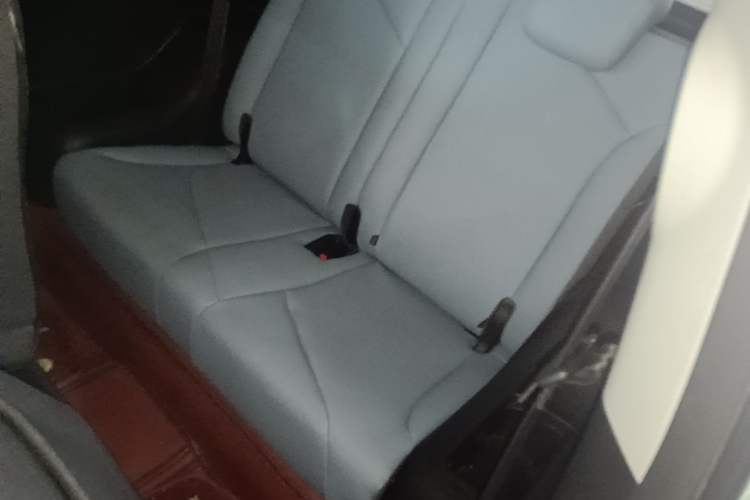 Used Chery QQ Little Ant 2022 Revised Version Sweet Pink Edition Half-Sugar Version Lithium Iron Phosphate 30.7 kWh 30 kW 301 km Left Rear Seat