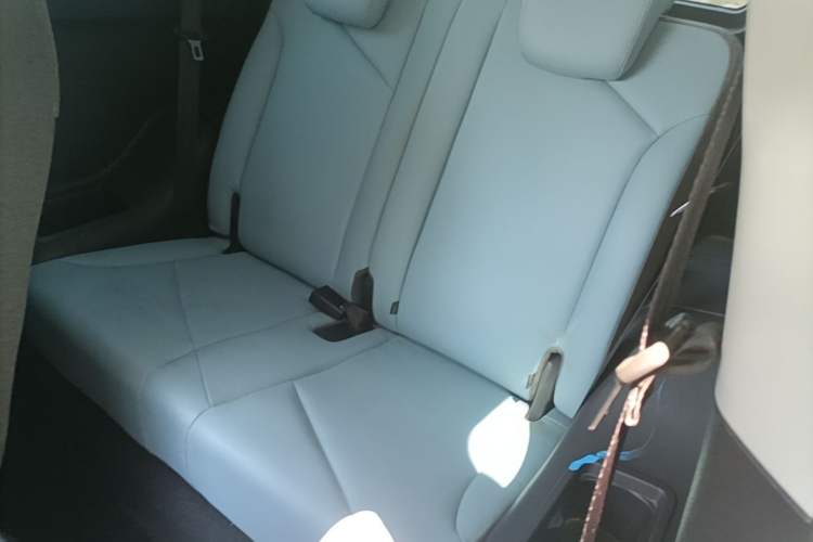Used Chery QQ Little Ant 2022 Restyled Version Sweet Pink Edition Half-Sugar Version 30.6 kWh 30 kW 301 km Left Rear Seat