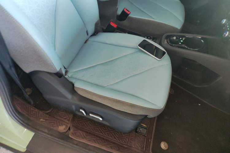 Used Chery QQ Little Ant 2022 Sweet Pink Edition Half-Sugar Version Lithium Iron Phosphate 30 kW 301 km Right Front Seat