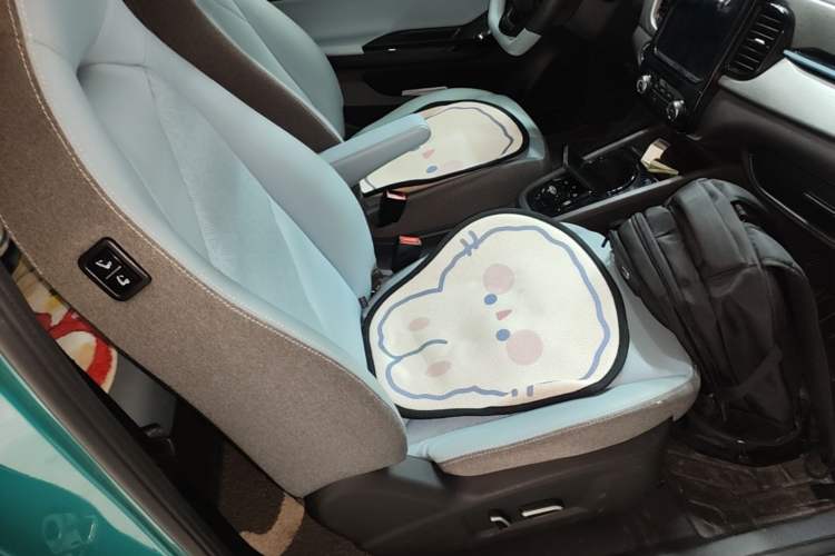 Used Chery QQ Little Ant 2022 Revised Version Sweet Pink Edition Half-Sugar Version Lithium Iron Phosphate 30.7 kWh 30 kW 301 km Right Front Seat