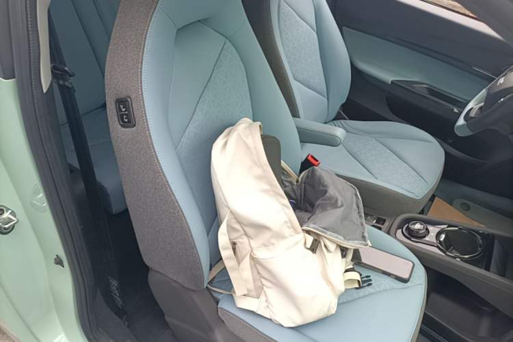 Used Chery QQ Little Ant 2022 Revised Version Sweet Pink Edition Half-Sugar Version Lithium Iron Phosphate 30.7 kWh 30 kW 301 km Right Front Seat