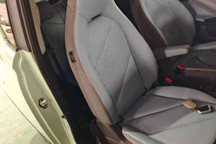 Used Chery QQ Little Ant 2022 Revised Version Sweet Pink Edition Half-Sugar Version Lithium Iron Phosphate 30.7 kWh 30 kW 301 km Right Front Seat