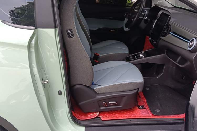Used Chery QQ Little Ant 2022 Sweet Pink Edition Full-Sugar Version Lithium Iron Phosphate 30 kW 301 km Right Front Seat