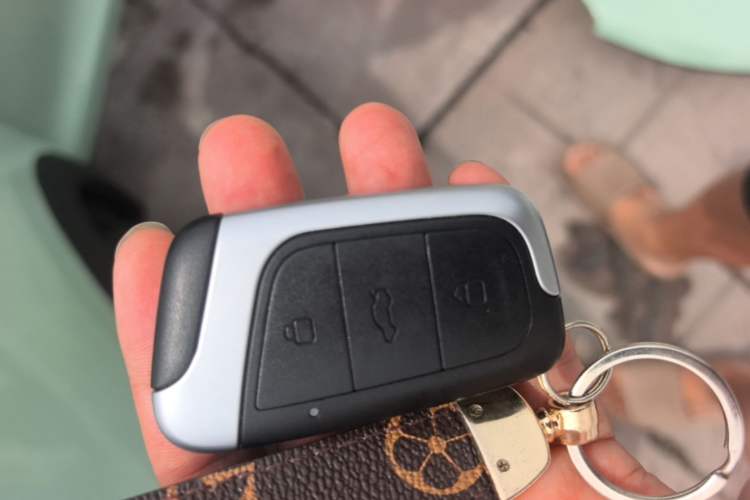 Used Chery QQ Little Ant 2022 Sweet Pink Edition Half-Sugar Version Lithium Iron Phosphate 30 kW 301 km Vehicle Key