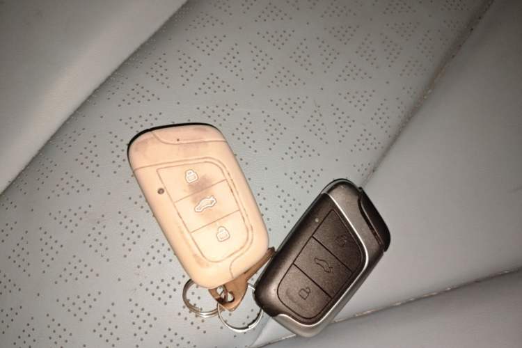 Used Chery QQ Little Ant 2022 Revised Version Sweet Pink Edition Half-Sugar Version Lithium Iron Phosphate 30.7 kWh 30 kW 301 km Vehicle Key