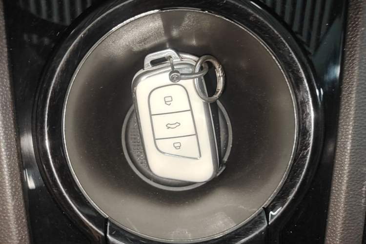 Used Chery QQ Little Ant 2022 Sweet Pink Edition Half-Sugar Version Lithium Iron Phosphate 30 kW 301 km Vehicle Key