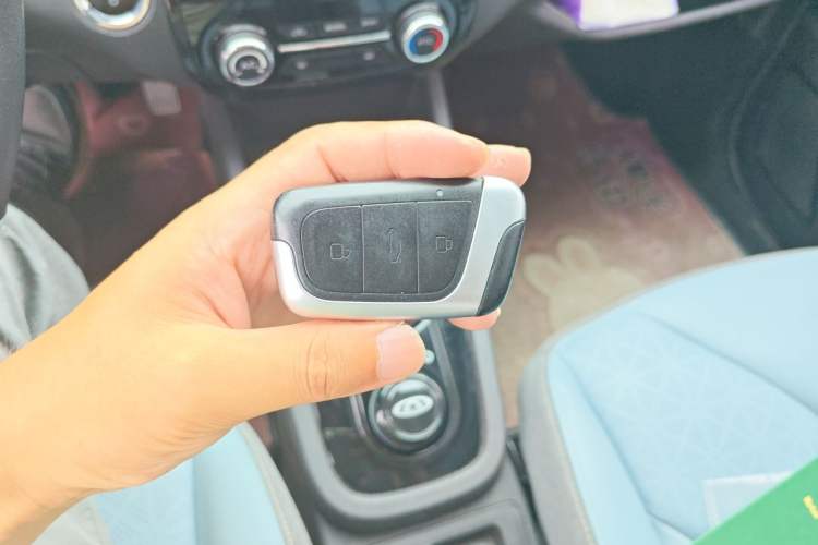 Used Chery QQ Little Ant 2022 Revised Version Sweet Pink Edition Half-Sugar Version Lithium Iron Phosphate 30.7 kWh 30 kW 301 km Vehicle Key