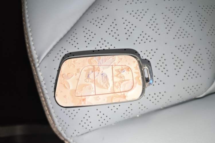 Used Chery QQ Little Ant 2022 Sweet Pink Edition Half-Sugar Version Lithium Iron Phosphate 30 kW 301 km Vehicle Key