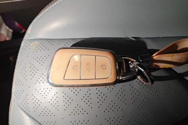 Used Chery QQ Little Ant 2022 Sweet Pink Edition Half-Sugar Version 3-Cell Lithium 30kW 301km Vehicle Key