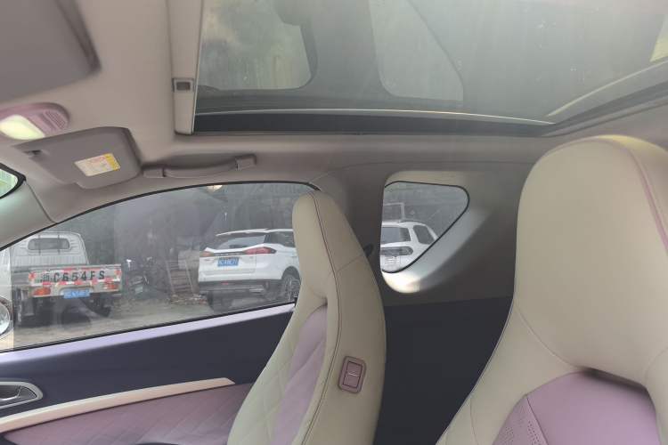 Used Chery QQ Little Ant 2022 Me 301km Rococo Lithium Iron Phosphate Headliner