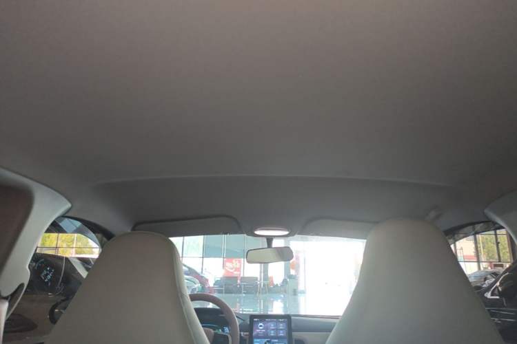 Used Chery QQ Little Ant 2022 Mei Romance 30.6 kWh Headliner