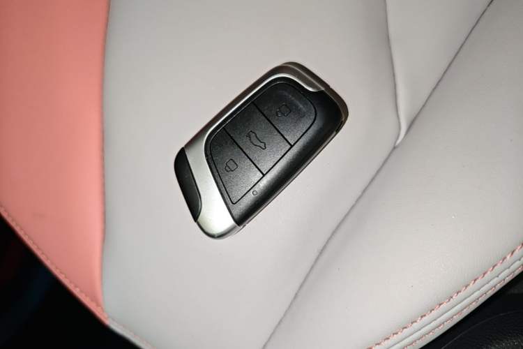 Used Chery QQ Little Ant 2022 Sweet Pink Edition Half-Sugar Version Lithium Iron Phosphate 30 kW 301 km Interior 1