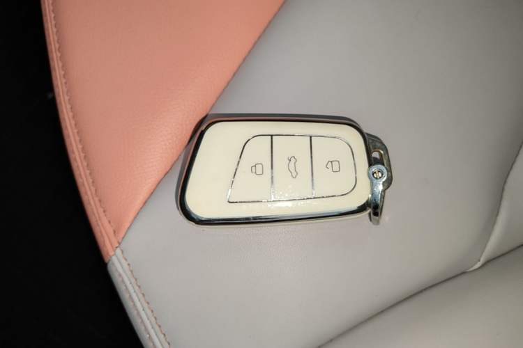 Used Chery QQ Little Ant 2022 Sweet Pink Edition Half-Sugar Version Lithium Iron Phosphate 29.2 kWh 30 kW 301 km Interior 1
