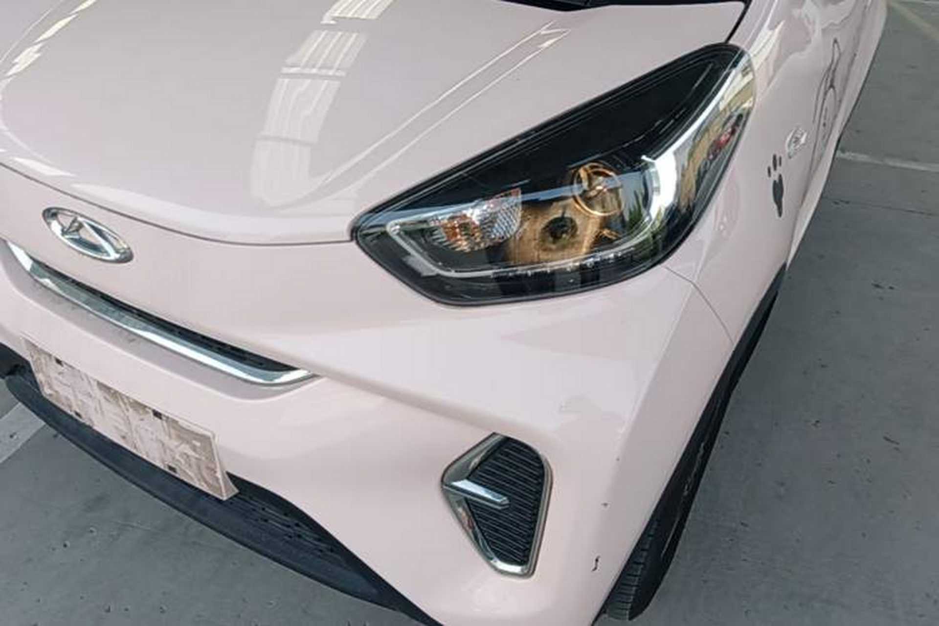 Used Chery QQ Little Ant 2022 Restyled Version Sweet Pink Edition Low-Sugar Version Lithium Iron Phosphate Battery 30.7 kWh 30 kW 301 km Left Front Headlight