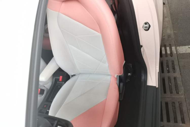 Used Chery QQ Little Ant 2022 Restyled Version Sweet Pink Edition Half-Sugar Version 30.6 kWh 30 kW 301 km Left Front Seat