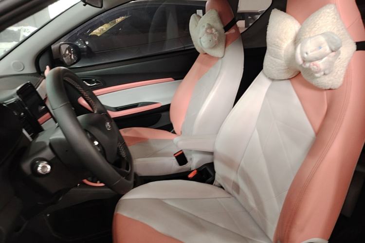 Used Chery QQ Little Ant 2022 Revised Version Sweet Pink Edition Half-Sugar Version Lithium Iron Phosphate 30.7 kWh 30 kW 301 km Left Front Seat