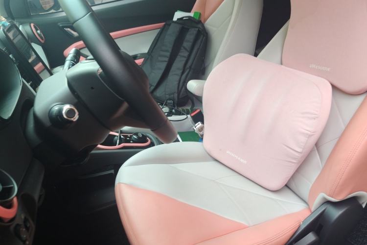 Used Chery QQ Little Ant 2022 Sweet Pink Edition Half-Sugar Version Lithium Iron Phosphate 30 kW 301 km Left Front Seat