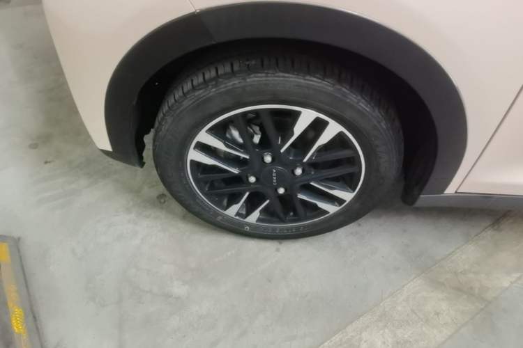 Used Chery QQ Little Ant 2022 Revised Version Sweet Pink Edition Half-Sugar Version Lithium Iron Phosphate 30.7 kWh 30 kW 301 km Left Front Wheel Hub