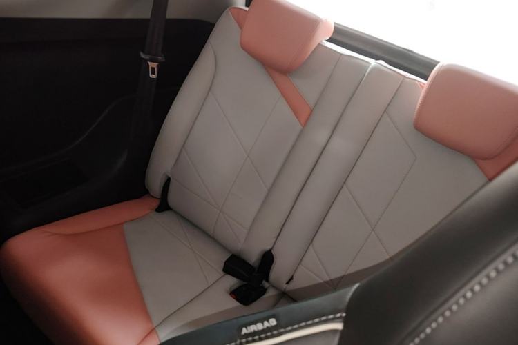 Used Chery QQ Little Ant 2022 Sweet Pink Edition Half-Sugar Version Lithium Iron Phosphate 29.2 kWh 30 kW 301 km Left Rear Seat