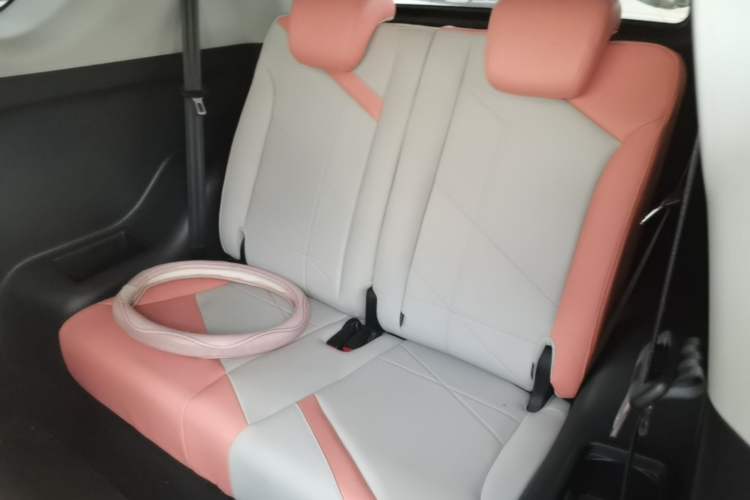Used Chery QQ Little Ant 2022 Restyled Version Sweet Pink Edition Half-Sugar Version 30.6 kWh 30 kW 301 km Left Rear Seat