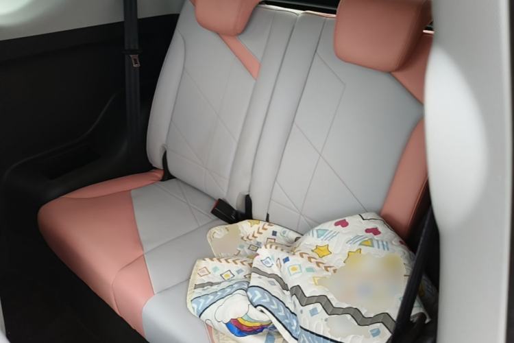Used Chery QQ Little Ant 2022 Revised Version Sweet Pink Edition Half-Sugar Version Lithium Iron Phosphate 30.7 kWh 30 kW 301 km Left Rear Seat