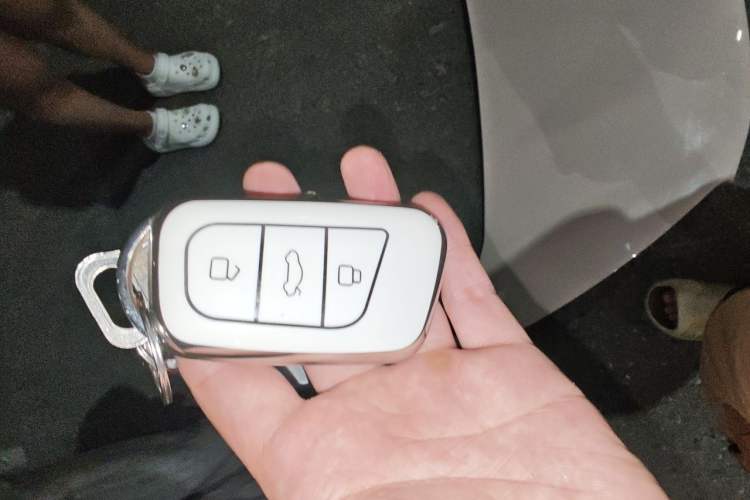 Used Chery QQ Little Ant 2022 Sweet Pink Edition Half-Sugar Version Lithium Iron Phosphate 29.2 kWh 30 kW 301 km Vehicle Key