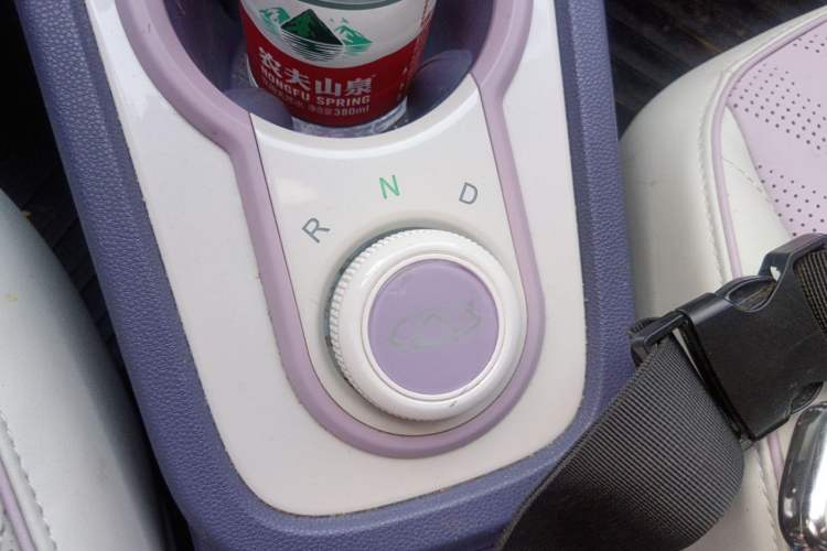 Used Chery QQ Little Ant 2022 Me 301km Romance Phosphate Lithium-Iron Gear Lever