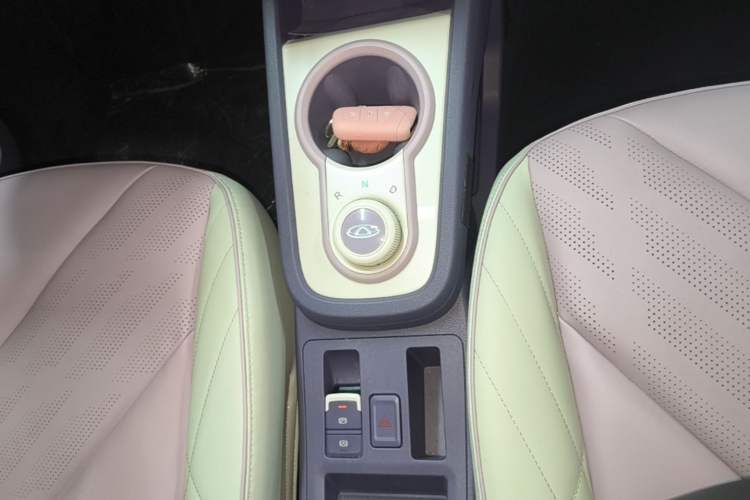 Used Chery QQ Little Ant 2022 Mei Romance 30.6 kWh Gear Lever