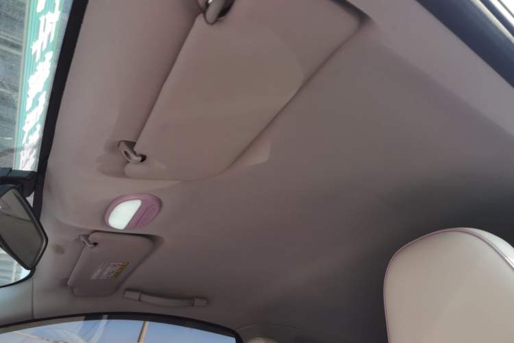 Used Chery QQ Little Ant 2022 Me 301km Romance Phosphate Lithium-Iron Headliner