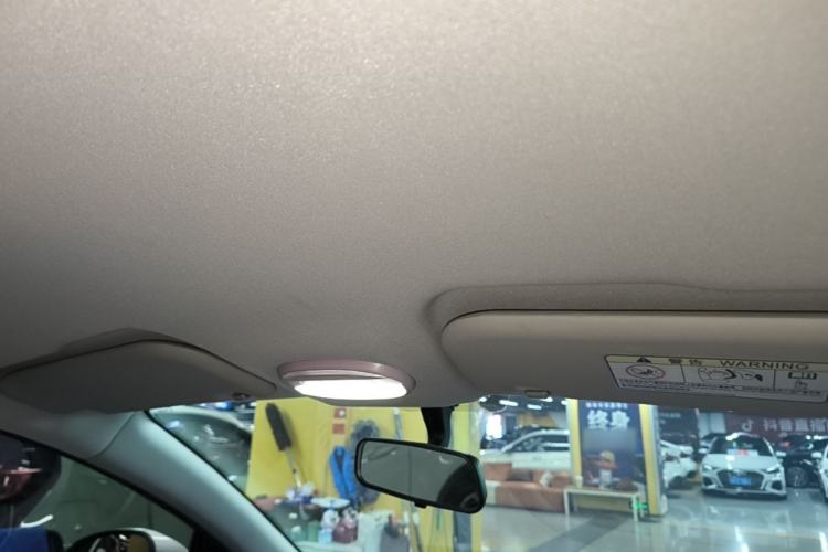 Used Chery QQ Little Ant 2022 Mei Romance 30.6 kWh Headliner