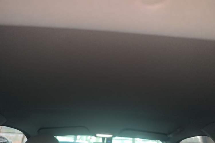 Used Chery QQ Little Ant 2022 Mei Romance 30.6 kWh Headliner