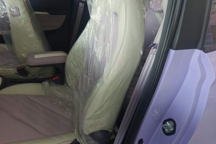 Used Chery QQ Little Ant 2022 Me 301km Romance Phosphate Lithium-Iron Left Rear Seat