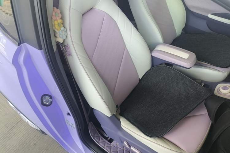 Used Chery QQ Little Ant 2022 Restyled Version Sweet Pink Edition Half-Sugar Version 30.6 kWh 30 kW 301 km Right Front Seat