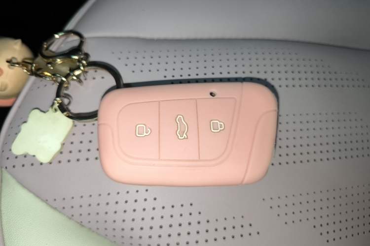Used Chery QQ Little Ant 2022 Mei Romance 30.6 kWh Vehicle Key