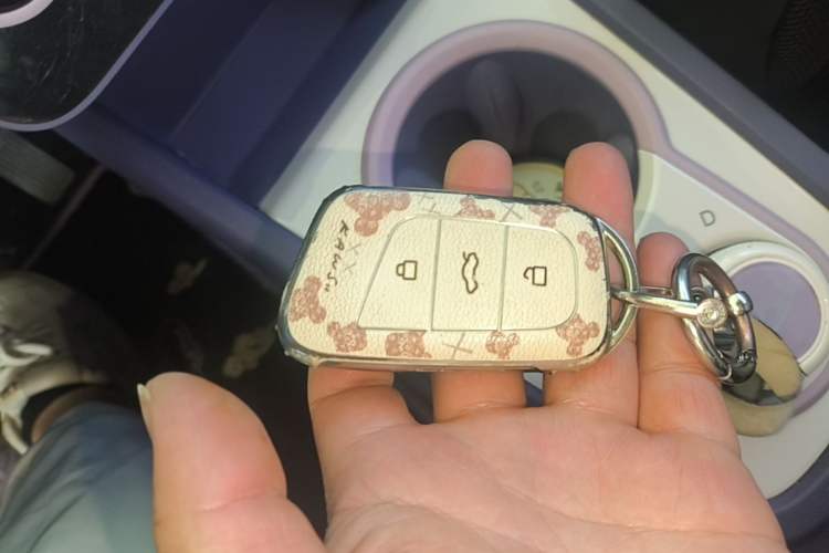 Used Chery QQ Little Ant 2022 Restyled Version Sweet Pink Edition Half-Sugar Version 30.6 kWh 30 kW 301 km Vehicle Key